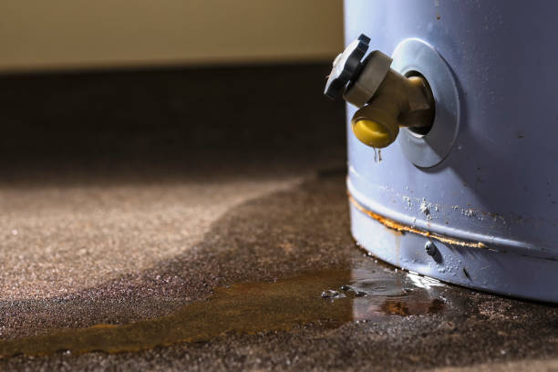 Best Local water damage restoration  in Westview, FL