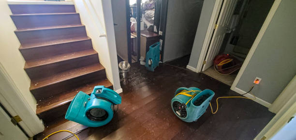 Best Water damage restoration company  in Westview, FL