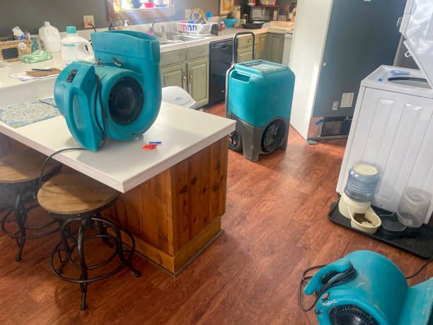 Best Basement water damage restoration  in Westview, FL