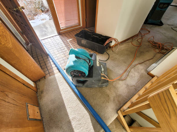 Best Water damage restoration services  in Westview, FL