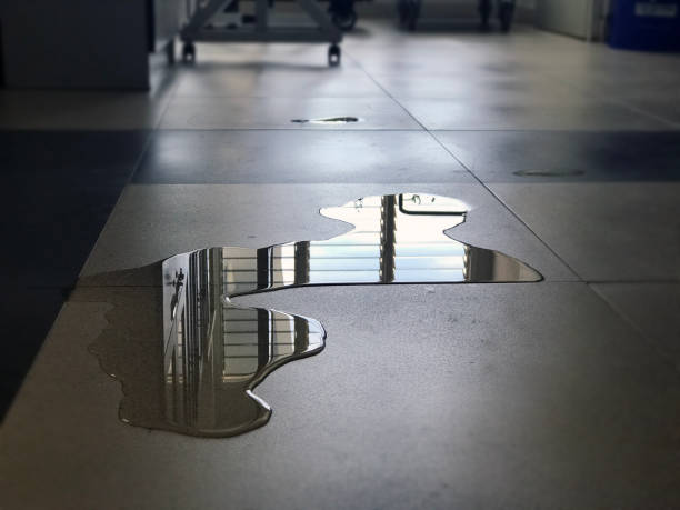 Best Water damage repair service  in Westview, FL
