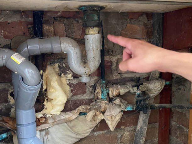 Best Flood damage cleanup  in Westview, FL