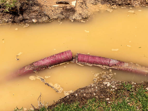 Westview, FL Water damage restoration Company