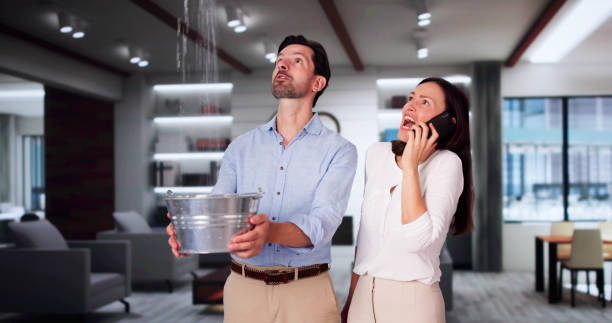Best Residential water damage restoration  in Westview, FL
