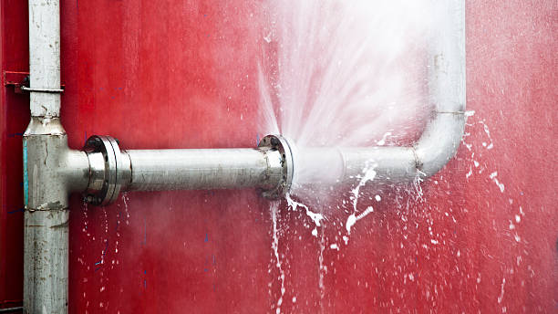 Best Carpet water damage restoration  in Westview, FL