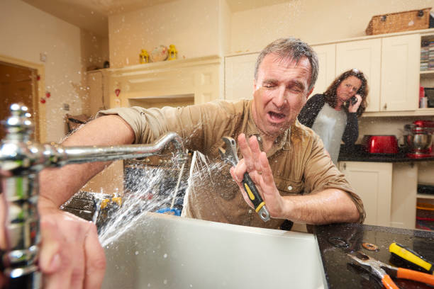 Best Sewage cleanup and water damage restoration  in Westview, FL